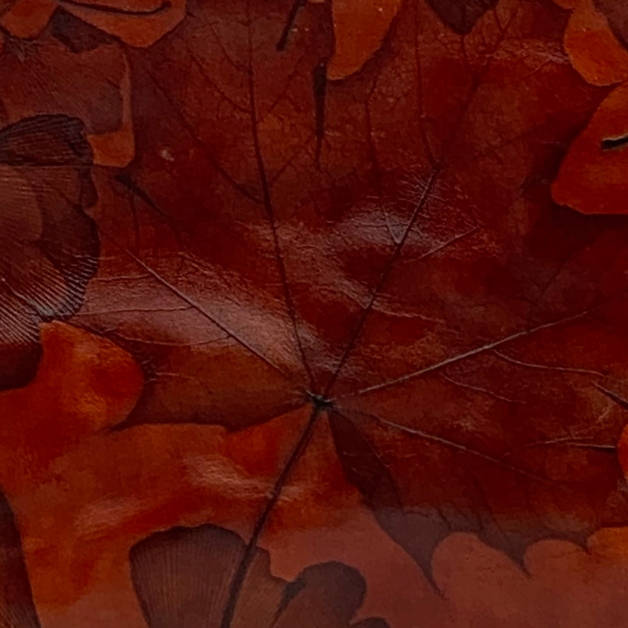 leaf leather inside